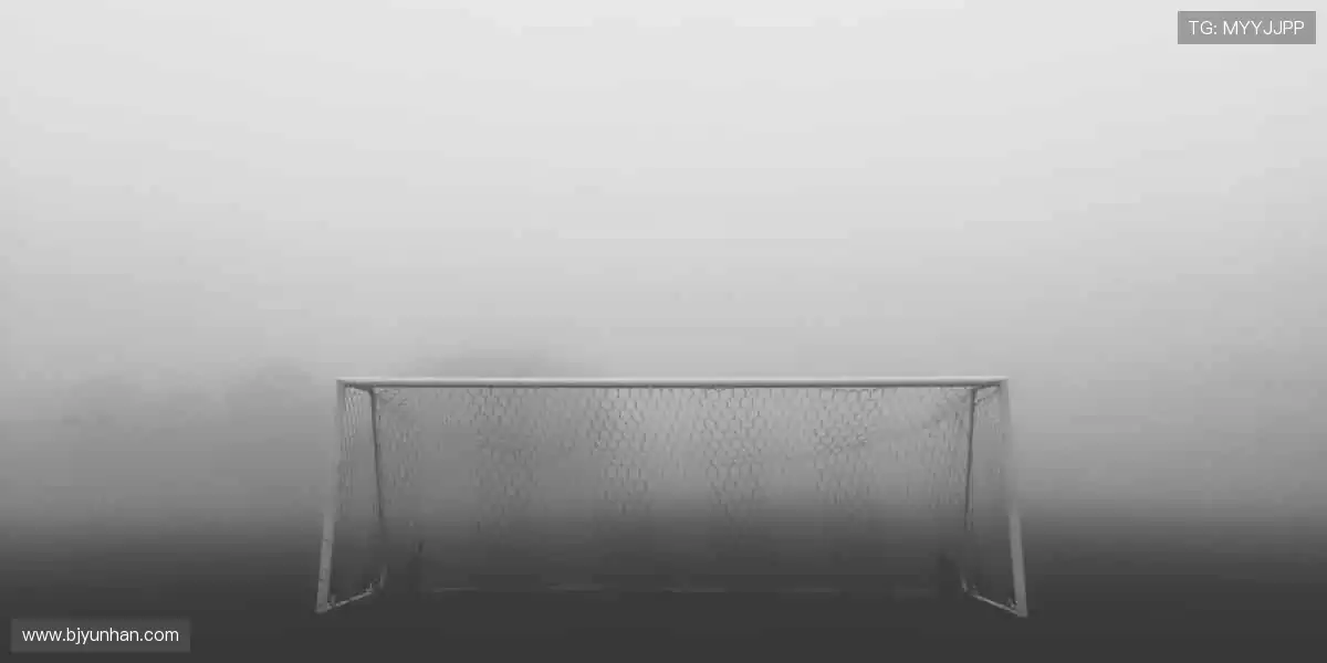 📺 高清直播,实时互动!不错过每一个心跳瞬间!